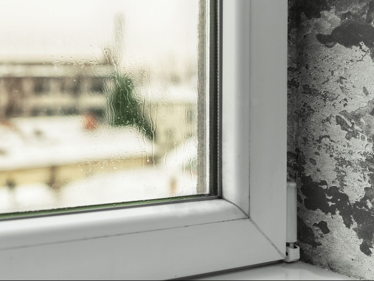condensation on window and mold growth