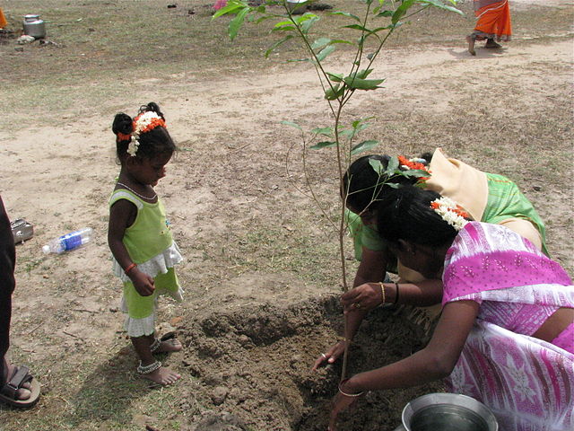 Women planting trees in India with child onlooking