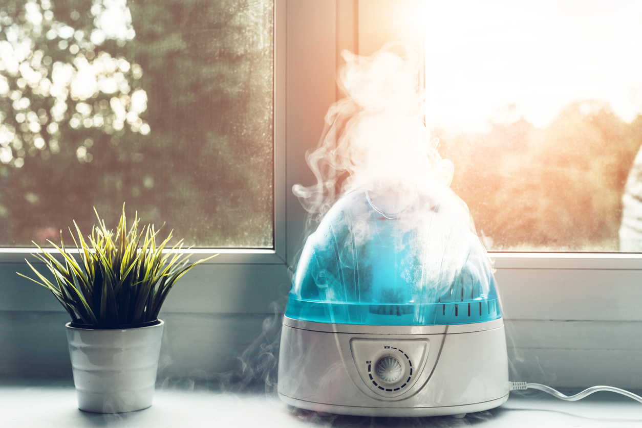 What Are the Benefits of a Humidifier for Your Home? | Molekule Blog