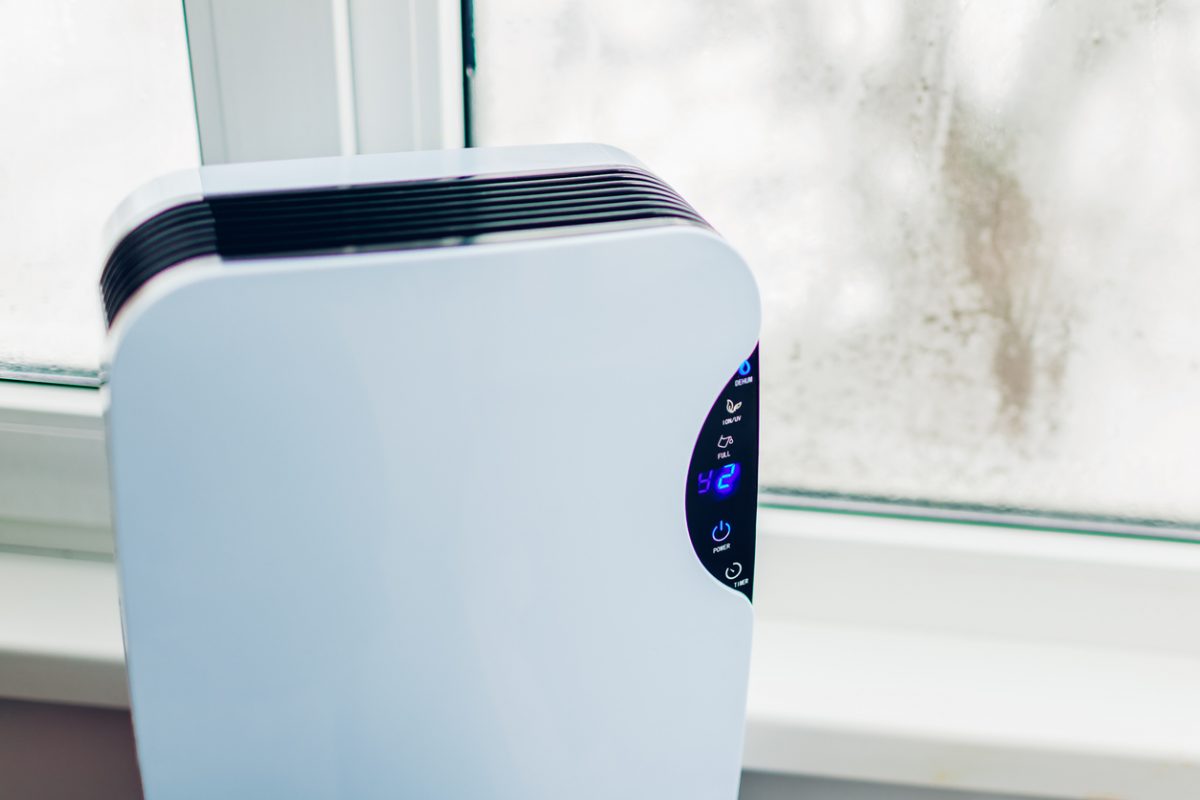 What can a dehumidifier do for your home