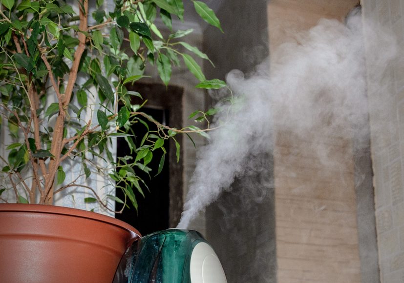 Can a Humidifier Help with Allergies 