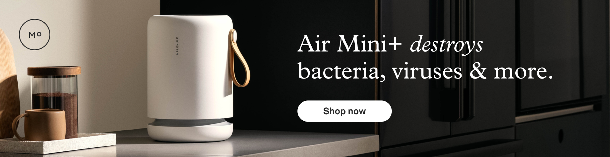 Air Mini+ destroys viruses, bacteria, & more.