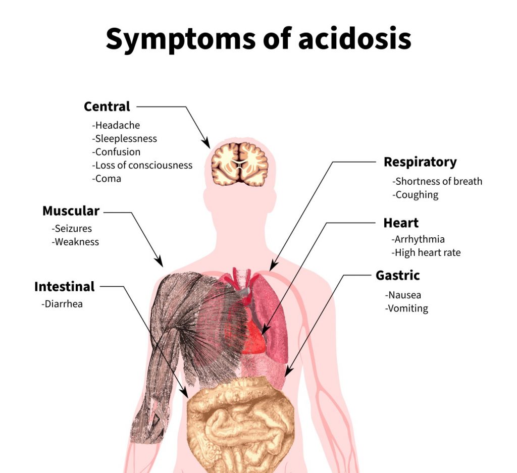 Brain, muscle, respiratory, heart, gastric, and intestinal symptoms of acidosis