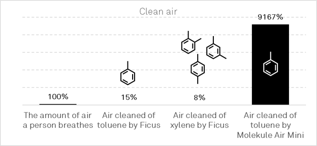 Toluene and xylene cleaned by Molekule Mini and Ficus